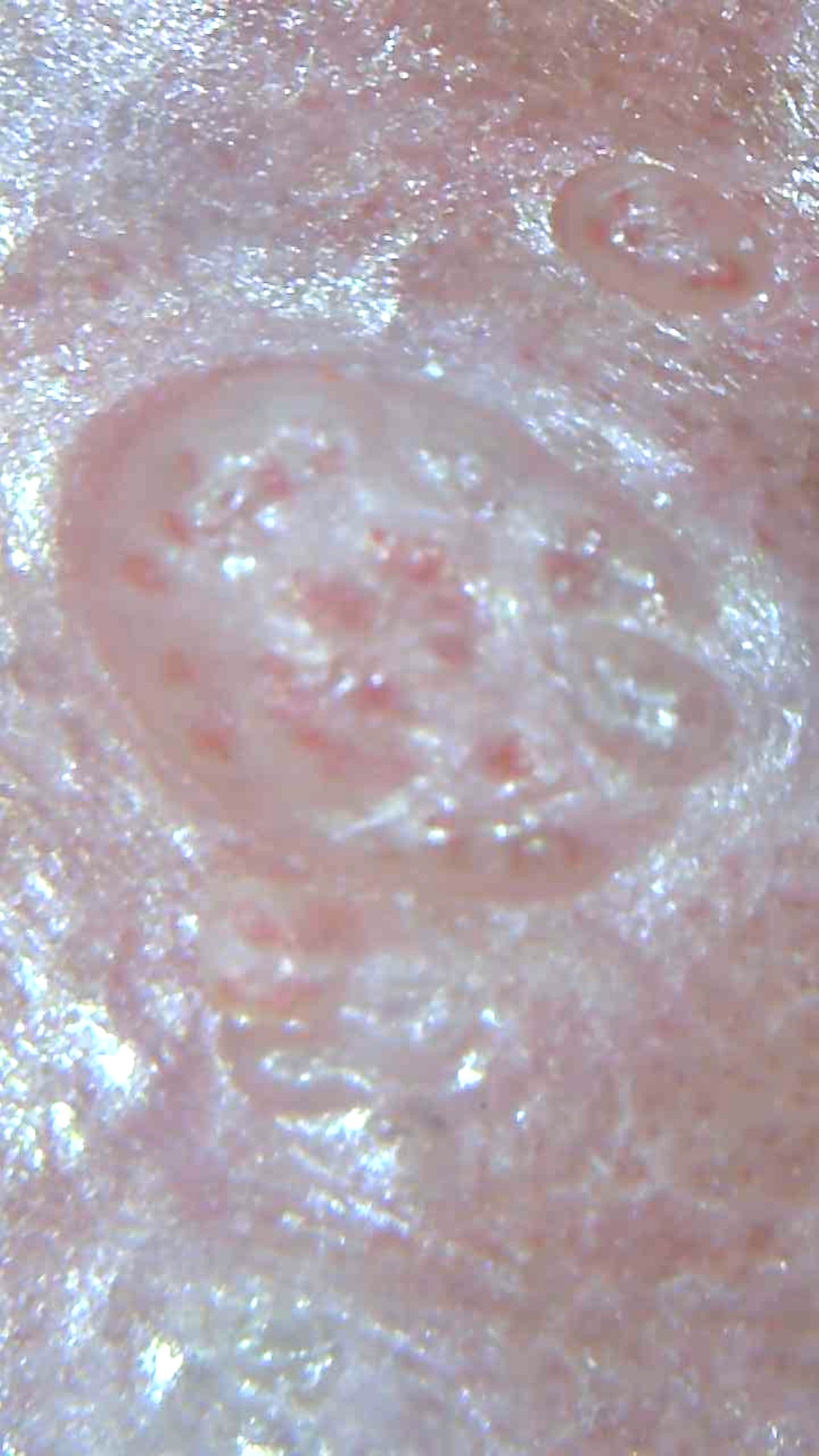 Imagen ilustrativa 1